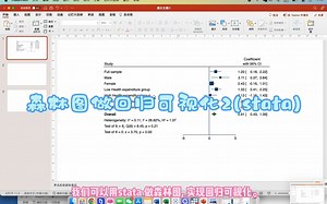 用森林图做回归可视化2（stata实现)