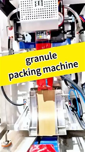 200g 500g granule packing machine