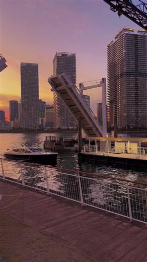 豊洲の夕暮れと不思議な会話