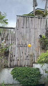 9.2K views · 28 reactions | Styles & Trends: PVC or synthetic bamboo fencing: The perfect blend of beauty and privacy! Contact PVC BAMBOOS PHILIPPINES 0917-885-3374 or visit website : pvcbamboos.com for more info. #fyp#landscape#pvcbamboos#fence#BNIPhilippines | PVC Bamboos Philippines | Facebook