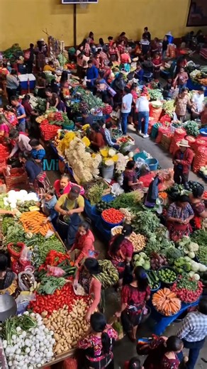 Videos de 🇬🇹 ❤️Alfa Viajero 502 AG ✅🔰 (@guatemalaimpresionante) con “sonido original - 🥹🖤”