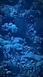 Scientists found radioactive plutonium at the bottom of the ocean, thanks to supernova explosions! 🌌 Crazy space videos 👽 #space #supernova #plutonium #galaxy #scientists #nasa | Autom TV