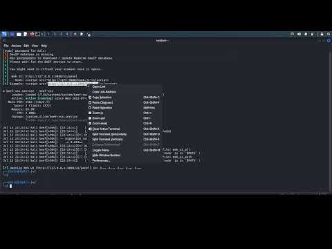 5. BeEF tutorial For Beginner How to hook victim use BeEF by pasting the script in the URL