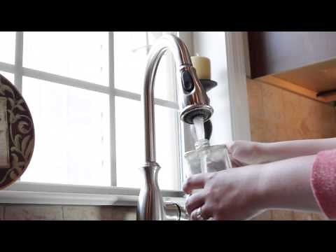 SS-25 HAAN Floor Steamer - Multiforce Pro