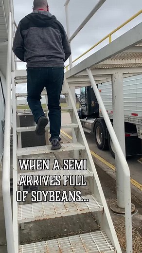 Probing: beginning of the Seed Grading Process #soybeans #merschmanseeds #fyp #agtour #farmtok #semi #truck #gettheretogether #learnontiktok