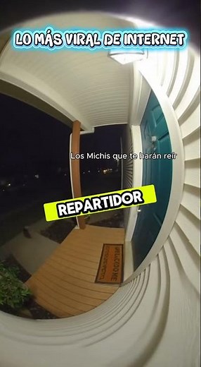 Mapache Roba Comida de un Delivery 🦝🍔🤣 | El Ladrón Más Travieso de la Noche