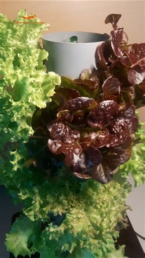 CNC Hydroponic Tower – From Build to Living System 🌱 💪