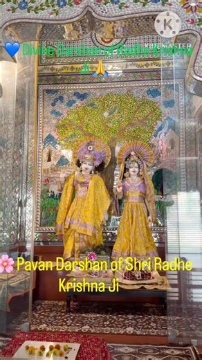 🌸 Pavan Darshan of Shri Radhe Krishna Ji 🙏✨ #divinedarshan #worldtravelgoga