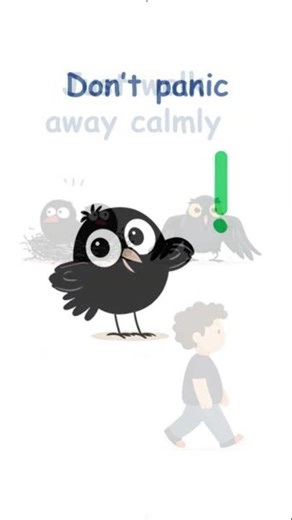 Crows Attack People! WHY? 🐦😱