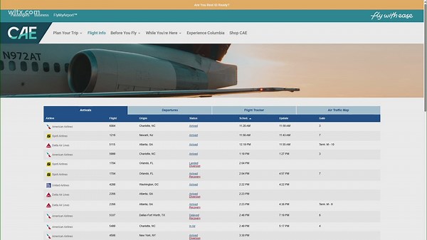 CAE resumes flights after small plane incident on runway