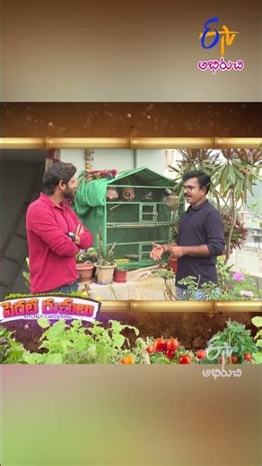 Perati Ruchulu | పెరటి రుచులు | Fri - Sat 12:00 PM | 25th April 2026 | Latest Promo