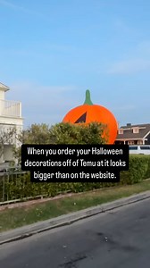 2.3M views · 9.6K reactions | T H E /// great pumpkin of Orange County? | Locale Magazine | Facebook