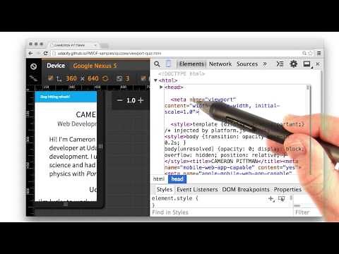 Setting the Viewport Solution - Responsive Web Design Fundamentals