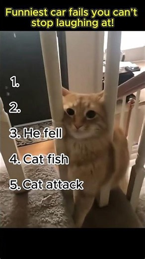 😂 Funniest Cat Fails You Can’t Stop Laughing At 😹 | Hilarious Cats & Epic Funny Moments Compilation