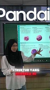 Kenali 5 jenis sel darah putih 💉🩸 | Miss Dira
