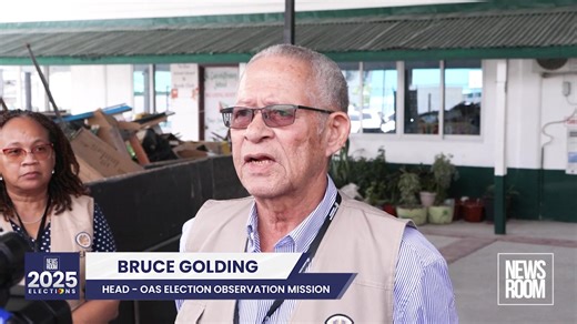 43K views · 143 reactions | The OAS Election Observation Mission, led...