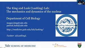 For interested students, please see our short introduction to the Lab: