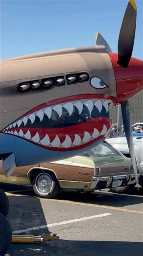 Rare Warhawk Fighter at the Reno Air Races