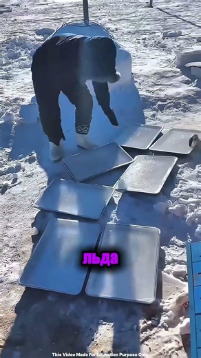 A DIY freezer made entirely from ice ❄️🧊