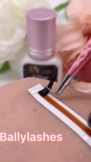 Factory Direct LASH Supplier on TikTok