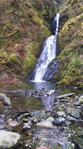 Peaceful Blowdown Waterfall Reflections | Washington State | Taylor River #nature #waterfall #moss