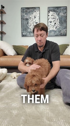 🐶 Meet Nala & Natalie 💕