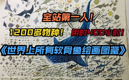 史上第一！400小时画完世界上所有软骨鱼（鲨鱼）图鉴！