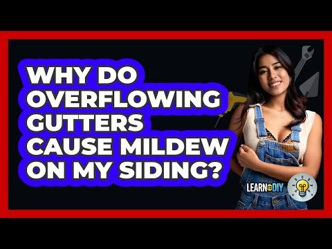 Why Do Overflowing Gutters Cause Mildew On My Siding? - LearnToDIY360.com