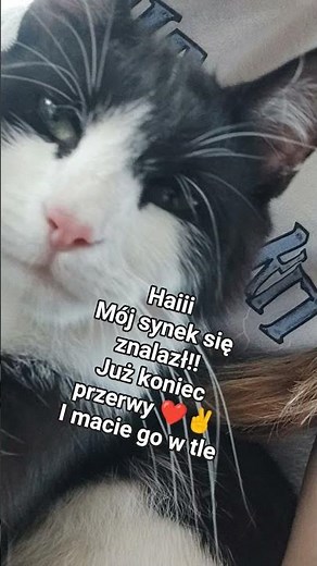 jak wam się podoba nowa pios babymonster? i naukę wstawię dzisiaj o jakiejś 15:00✌ #wybijsie #kpop