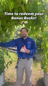 2.3K views · 20 reactions | IT'S BONUS BUCKS REDEMPTION TIME ALL AUGUST LONG!  Bonus Bucks can be used to pay for up to 50% the purchase price (before tax) of most items in the store! Including plants, pottery, soils, tools, fertilizers, fountains & more! 摒⛲️ How would you spend your Bonus Bucks? 﫵廊 | Rainbow Gardens | Facebook
