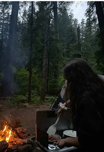 Pacific Northwest Forest Roadtrip Aesthetic Vibes