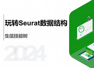 玩转Seurat数据结构