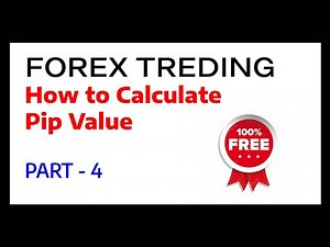 How to Calculate Pip Value and Profits in Forex Trading (Step-by-Step Guide)