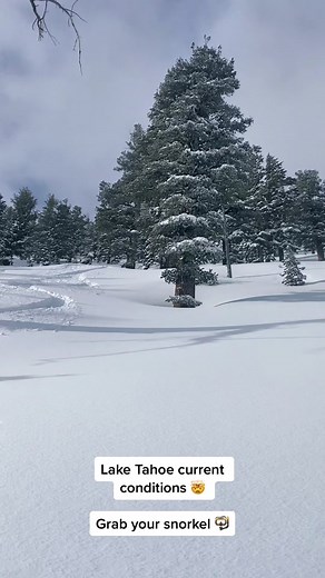 Amazing Skiing Conditions in Lake Tahoe