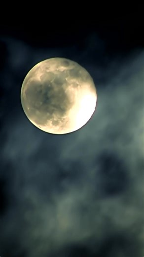 Step inside The Red Room this Halloween! One night only — music, mystery, and indulgence. Tickets are selling quickly → reserve now before they’re gone. Early bird pricing ends October 17th! | NOW Group