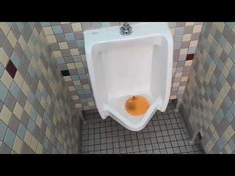 Colorado County Rest Area Men's Restroom Tour [Westbound I-10]