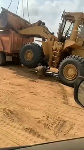 Chainsaws & Forestry on Reels