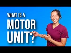 Motor Unit Explained | Muscle Physiology Made Simple + NPTE Study