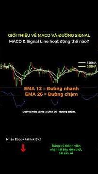MACD Cắt Signal là Mua Hay Bán? #tiendientu #trading #chungkhoan