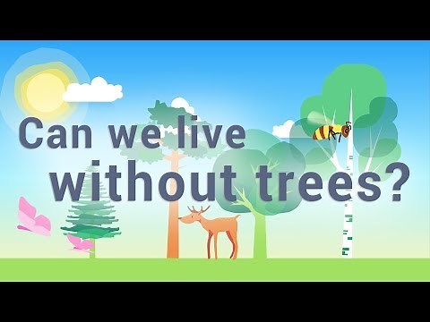 CAN WE LIVE WITHOUT TREES ? - UK | Best educational video (all ages)