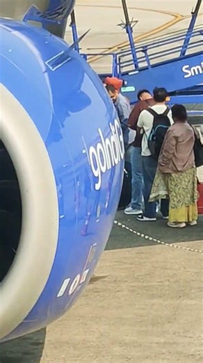 Powerful Airbus A321neo Takeoff & Landing ✈️ | Next-Gen Aircraft #airplane #aeroplane #viralvideo