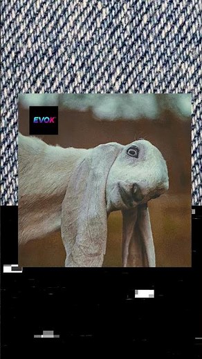 Funky House Party – Dancefloor Classics Reimagined 2025 (Evo K Mix)