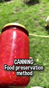 Transport Solutions for Off-Grid Living