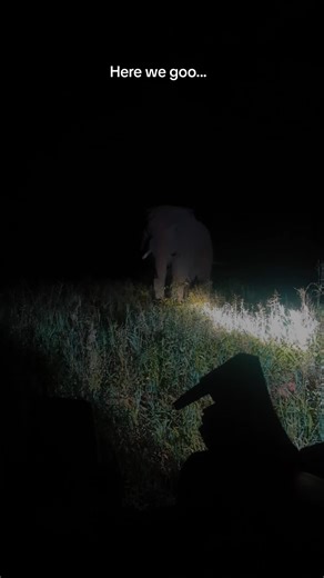 Deep in love with Africa