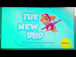 Paw patrol season the new pup title card🐶