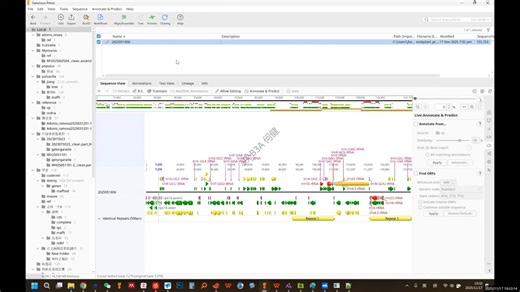 getorganelle拼接失败的叶绿体如何在geneious中继续手动拼接完成