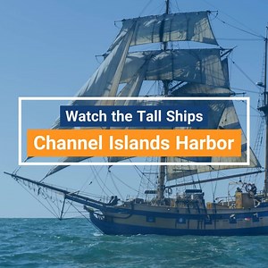 20K views · 87 reactions | Kick off 2019 with these 6 fun things to...