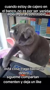 266K views · 6.6K reactions | Roxi Niño on Reels | Facebook