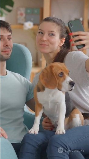 Do PETS Really Miss You When You Leave The House?