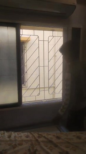 361K views · 2.3K reactions | Standard glass house 7003699764 Honey comb with mosquito net window | Standard glass house | Facebook